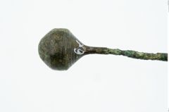 Foto von Bronzekugelkopfnadel (NHMW-PRAE-026079)